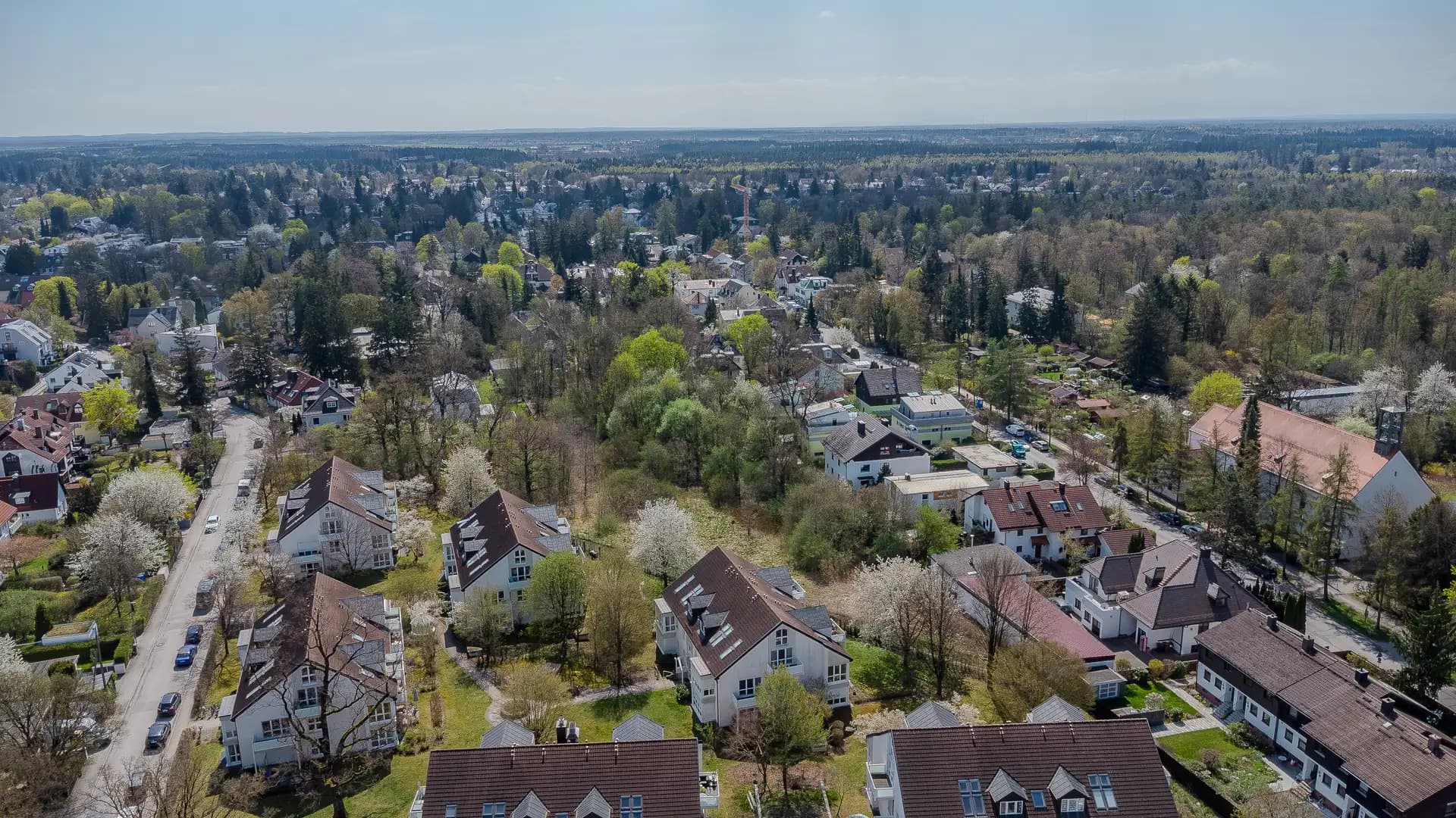 Blick über die gewachsene, durchgrünte Wohnbebauung von Waldtrudering bis zum Waldrand